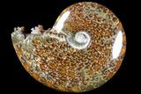 Polished, Agatized Ammonite (Cleoniceras) - Madagascar #79741-1